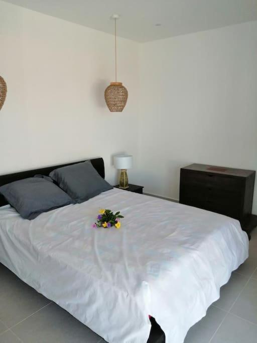 Residence Canne Mapou 2 1 Chambre サン・ピエール エクステリア 写真