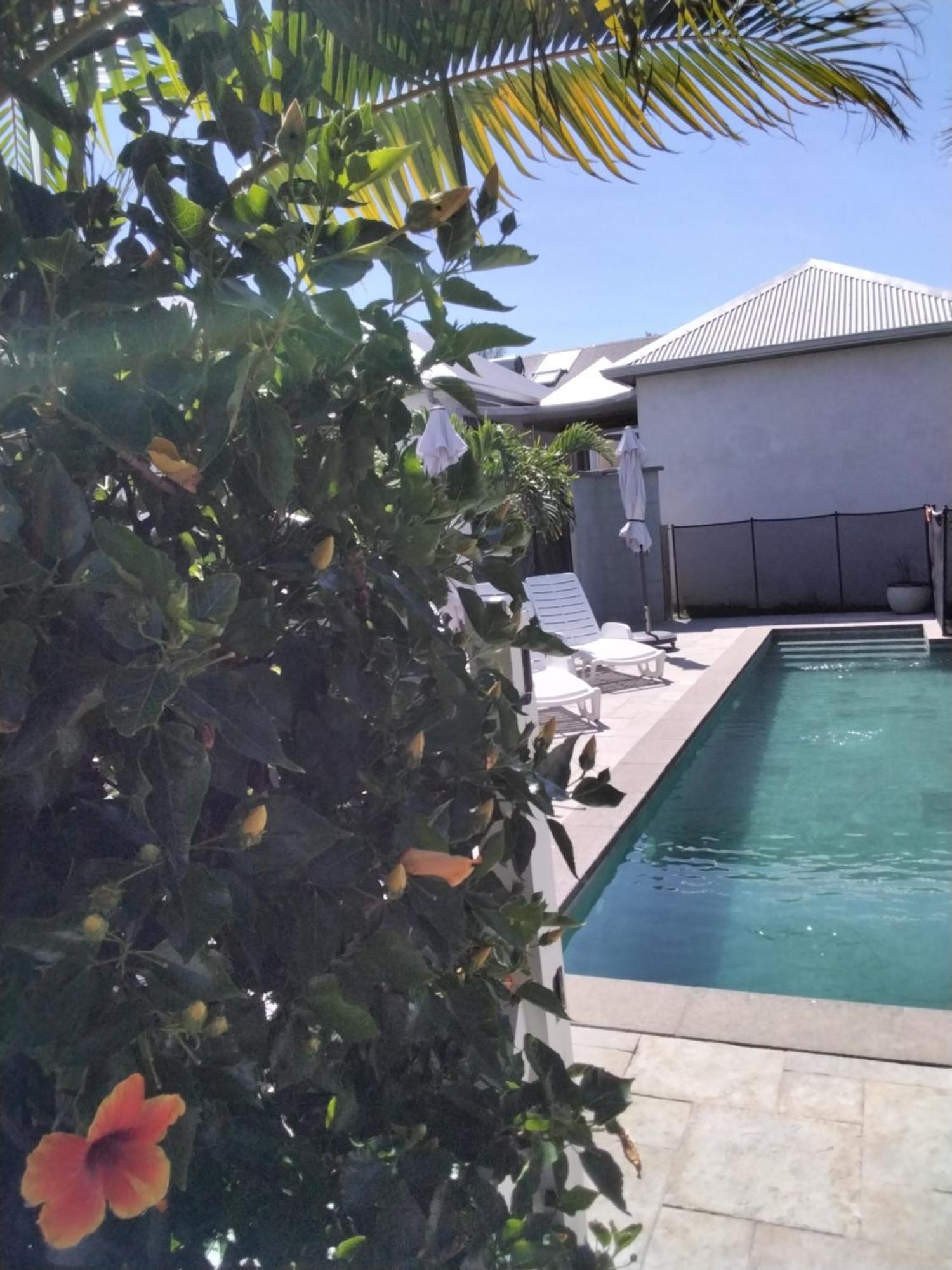 Residence Canne Mapou 2 1 Chambre サン・ピエール 部屋 写真