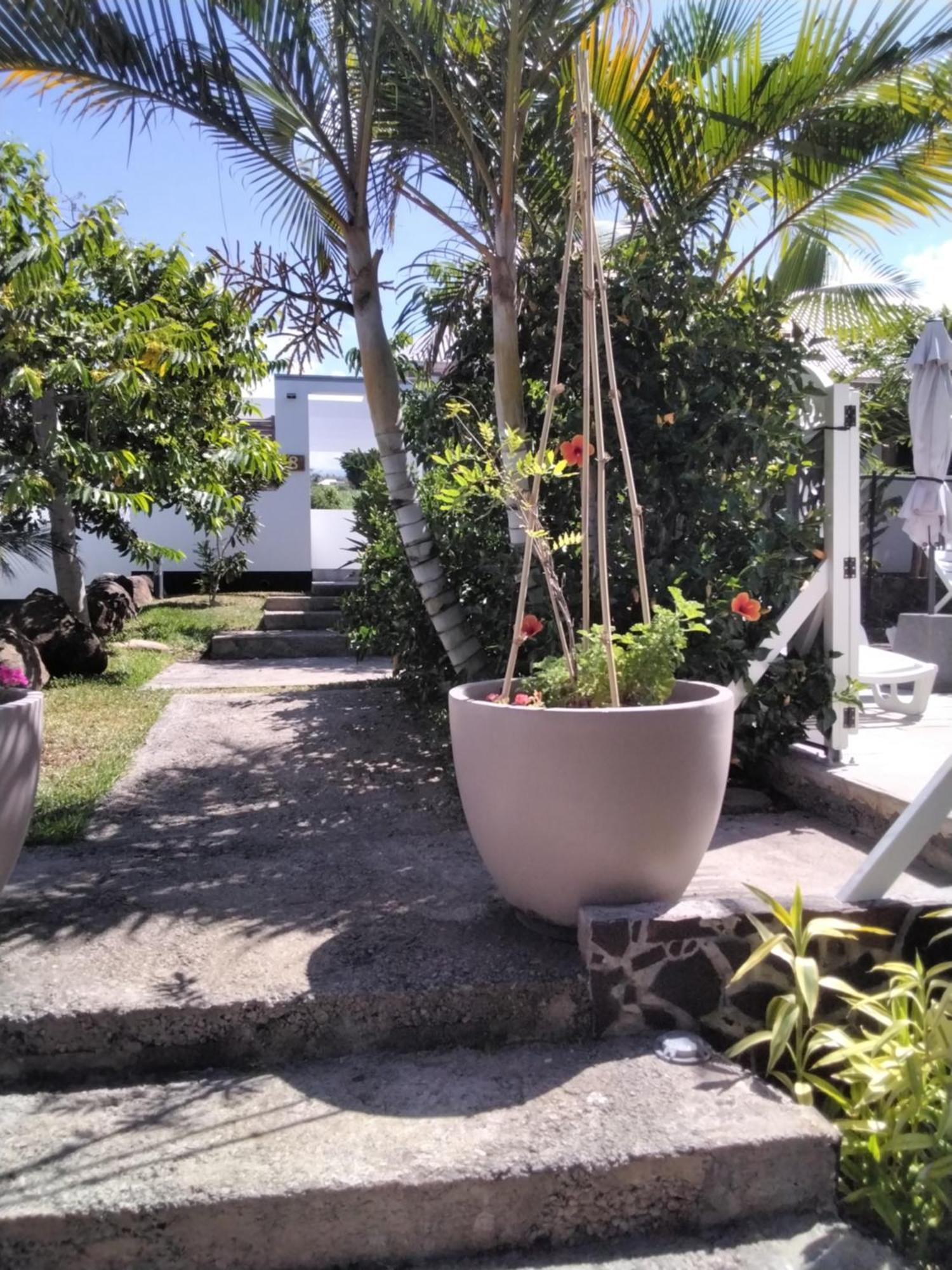Residence Canne Mapou 2 1 Chambre サン・ピエール 部屋 写真